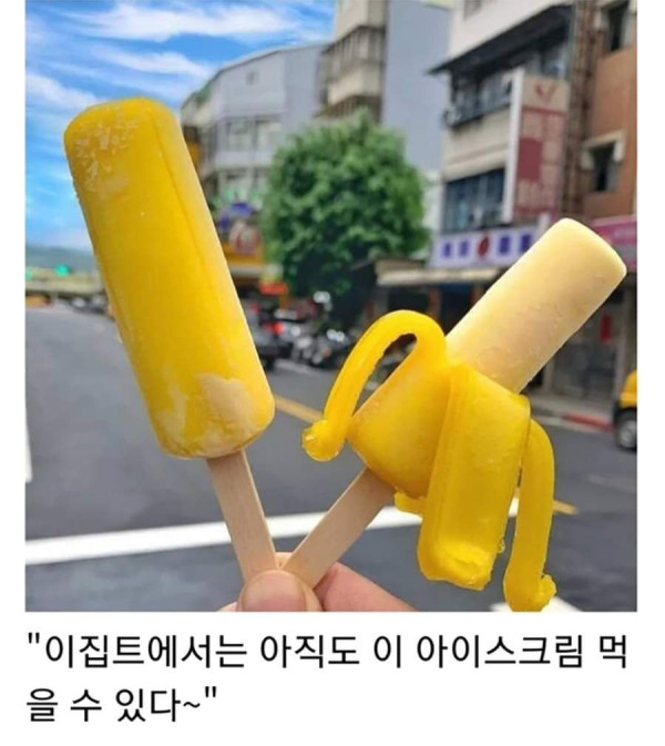 관광책자에서는 볼 수 없는 진짜 이집트의 모습들