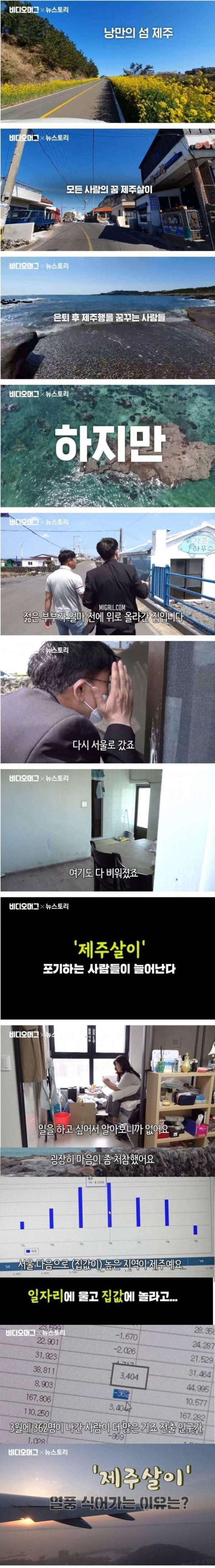 제주살이 꿈을 접는 이유