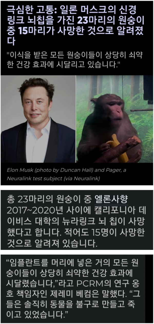 일론 머스크가 뇌에 칩 심었던 원숭이 근황