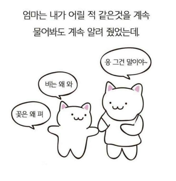 엄마가 돌아가셨다