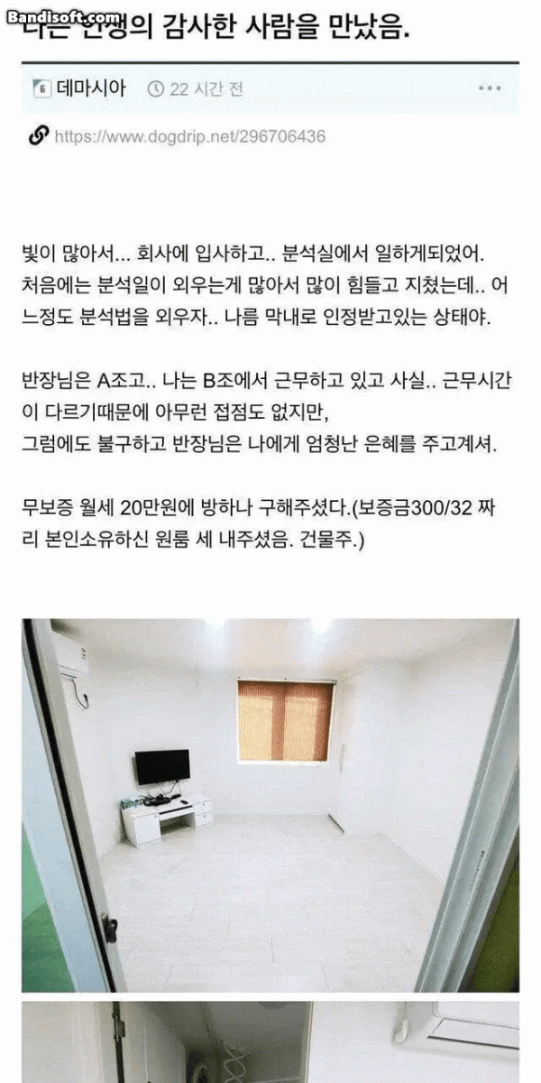 상사가 착한 건물주면 생기는 일