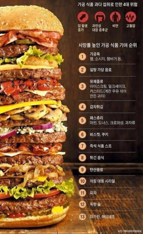 세계에서 가장 맛있는 음식 13가지