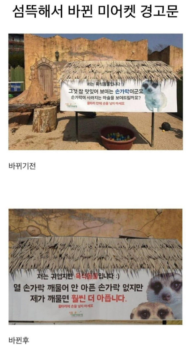 동물원 미어캣 경고문 전후...